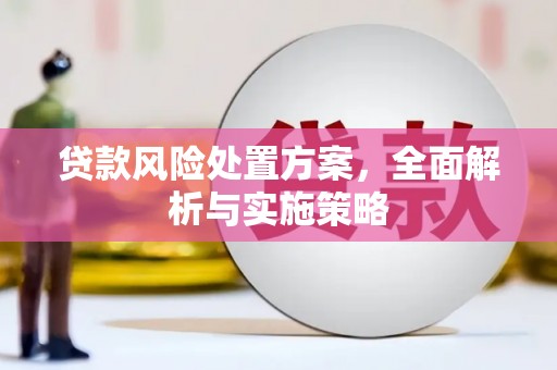 汉台贷款风险处置方案，全面解析与实施策略